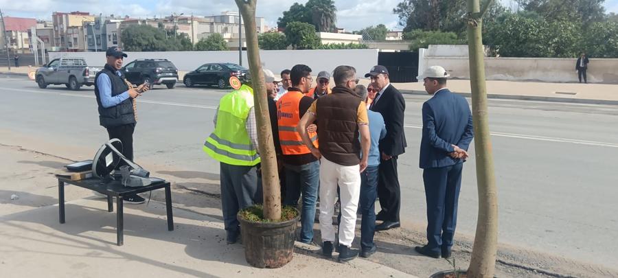 عامل سيدي سليمان يأمر بإقتلاع  “أشجار التزيين” بسبب سوء جودتها