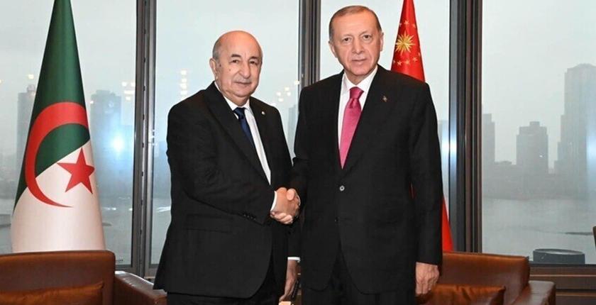 Erdoğan: Cezayir ile geniş kapsamlı bir iş birliğinin temellerini attık... ve bölgesel konulardaki görüşlerimiz aynı