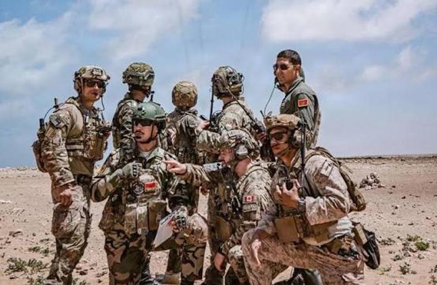 الأسد الإفريقي تتضمن دورة أكاديمية لاستخدام "الدرون" في الحروب
