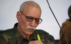 الاعترافات بمغربية الصحراء تزيد من عزلة الانفصاليين