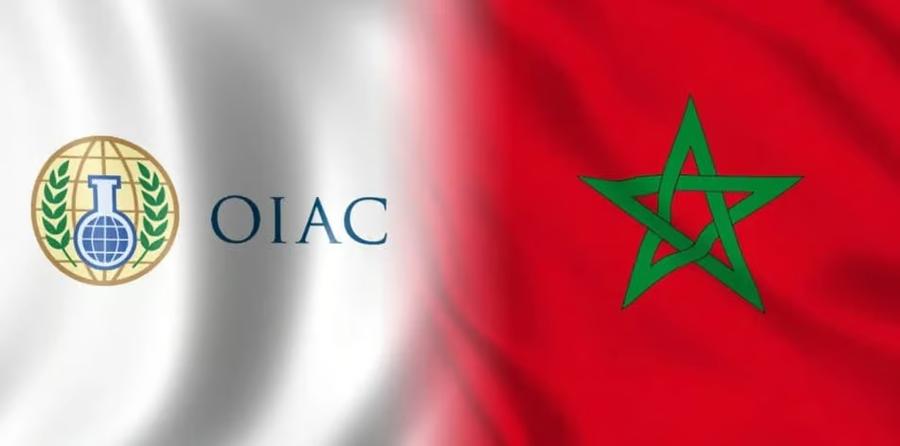 Morocco begins new leadership term at global chemical weapons body