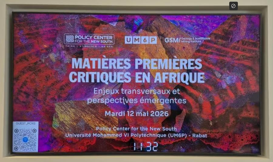 Africa seeks greater control over critical minerals value chains
