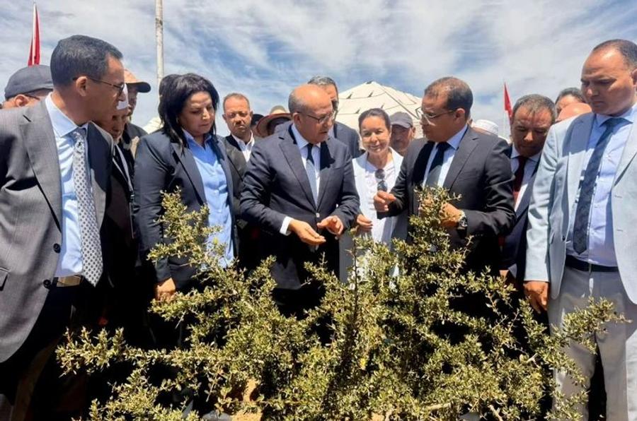 الصويرة.. اختتام أشغال الدورة الثامنة للمؤتمر الدولي للأركان