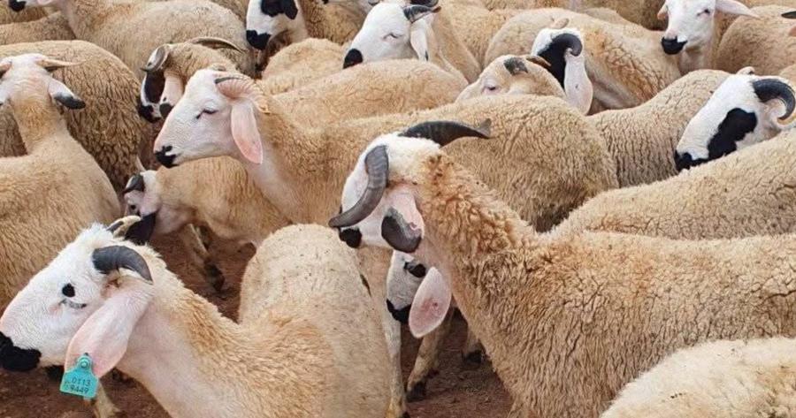 نقابات تدعو إلى “منحة العيد” بدل الصرف المبكر للأجور