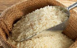 Marche du riz : la FNIR alerte sur la hausse des importations malgré une couverture nationale de 75 %