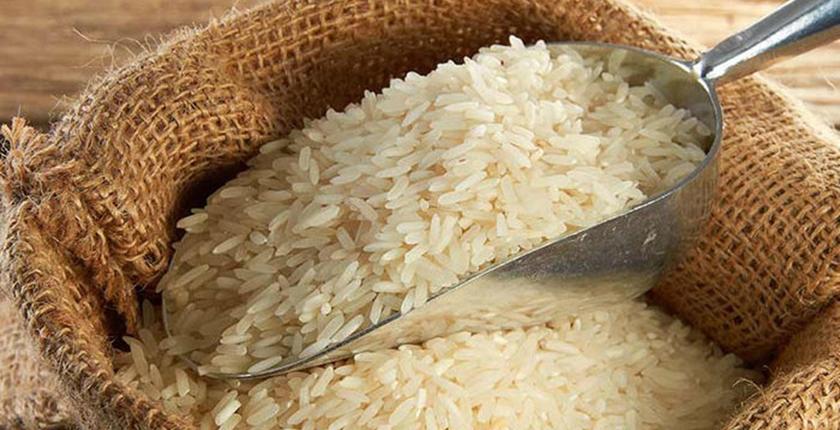 Marche du riz : la FNIR alerte sur la hausse des importations malgré une couverture nationale de 75 %