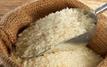 Marche du riz : la FNIR alerte sur la hausse des importations malgré une couverture nationale de 75 %