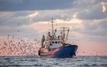 Pêche en crise : le port de Mehdia perd plus du tiers de son activité