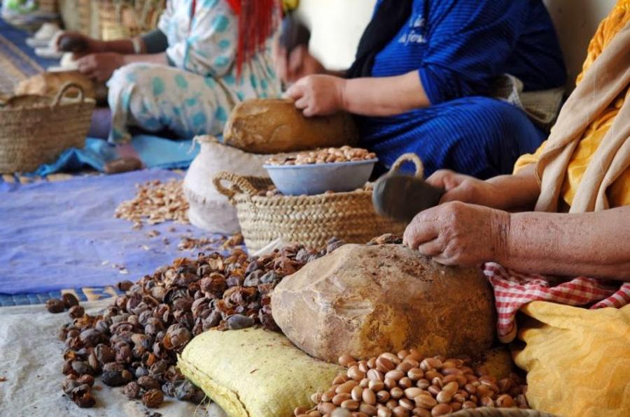 سوق الكربون يعزز مستقبل الأركان المغربي