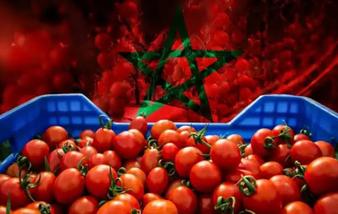 6 ملايين يورو هي قيمة صادرات "مطيشة" المغربية لفنلندا