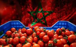 6 ملايين يورو هي قيمة صادرات "مطيشة" المغربية لفنلندا