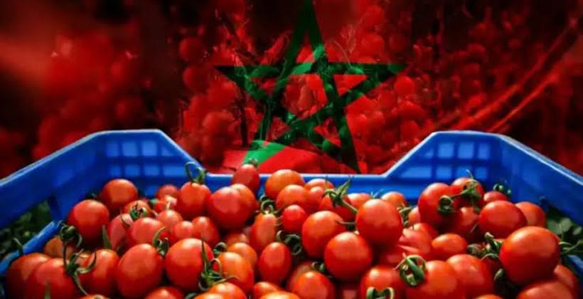 6 ملايين يورو هي قيمة صادرات "مطيشة" المغربية لفنلندا