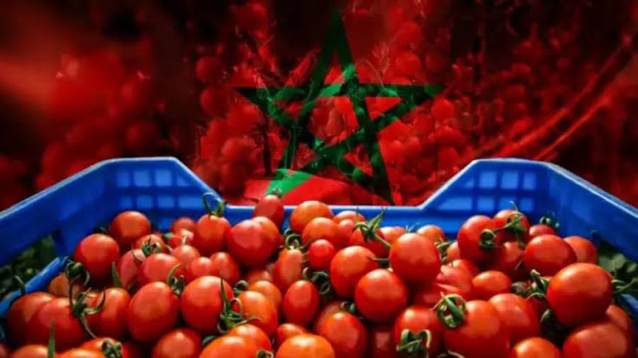 6 ملايين يورو هي قيمة صادرات "مطيشة" المغربية لفنلندا
