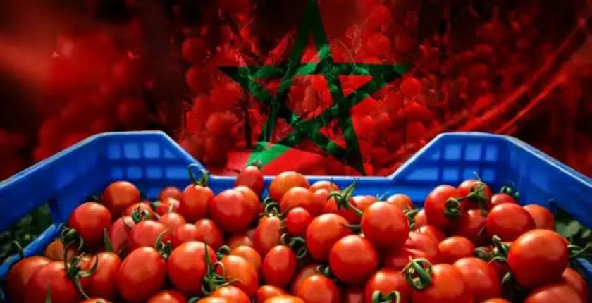 6 ملايين يورو هي قيمة صادرات "مطيشة" المغربية لفنلندا
