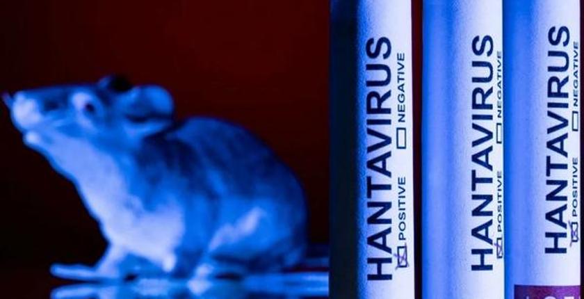 Hantavirüs: Küresel Sağlık Uyanıklığı, Covid-19'dan Miras Kalan Endişeleri Yeniden Canlandırıyor