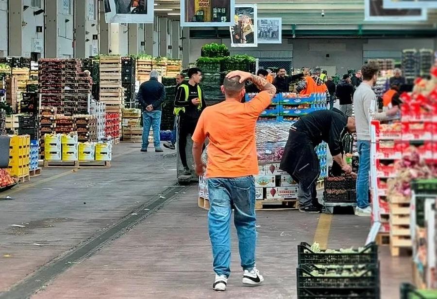As Eid al Adha approaches casablanca food prices show mixed movement