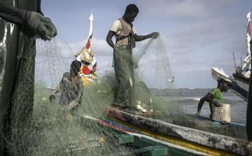La pesca costera marroquí aumenta su valor con menor volumen