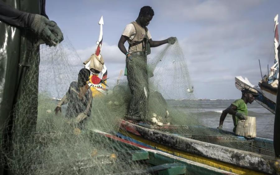 La pesca costera marroquí aumenta su valor con menor volumen