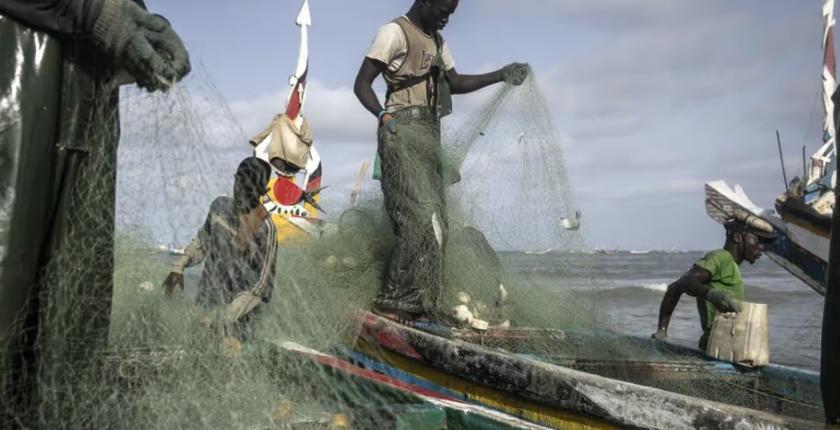 Morocco coastal fishing value rises despite lower catches