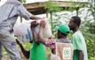 Kigali : OCP Africa plaide pour une refonte des chaînes de valeur agricoles africaines