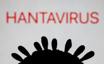 Hantavirus : l’Australie renforce sa quarantaine après le foyer mortel du MV Hondius
