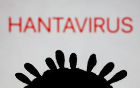 Hantavirus : l’Australie renforce sa quarantaine après le foyer mortel du MV Hondius