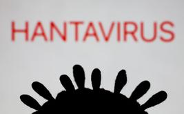 Hantavirus : l’Australie renforce sa quarantaine après le foyer mortel du MV Hondius