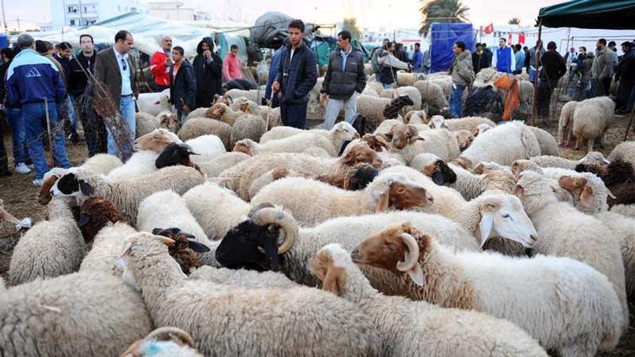 جماعة سلا تبالغ في رسوم الولوج لـ"رحبة الحولي"