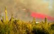 Wildfires rage across Arizona and Europe in an unusually early and intense season