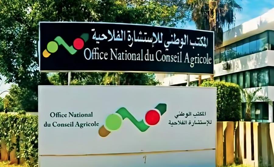 Morocco's 61st Rose Festival brings agricultural support and training to Kelaat M'Gouna