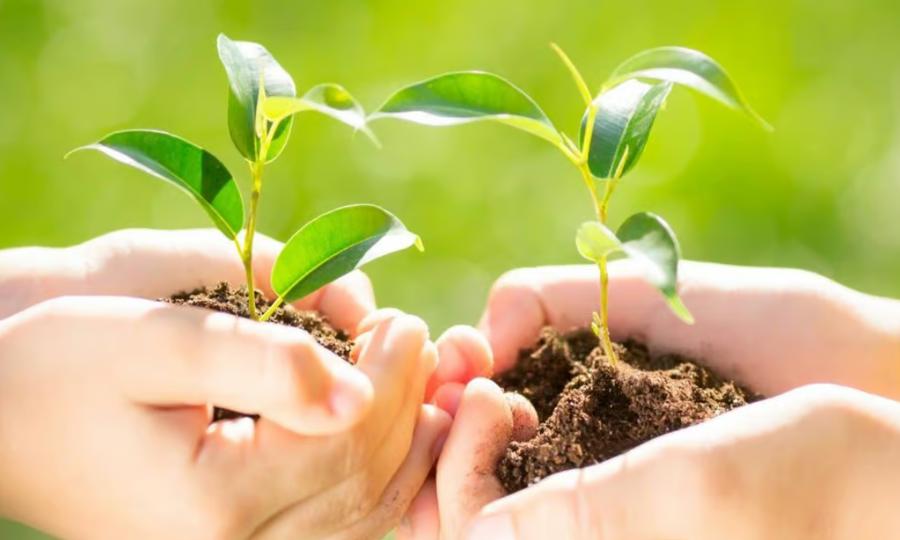 Simple daily habits that can help anyone live a more sustainable life