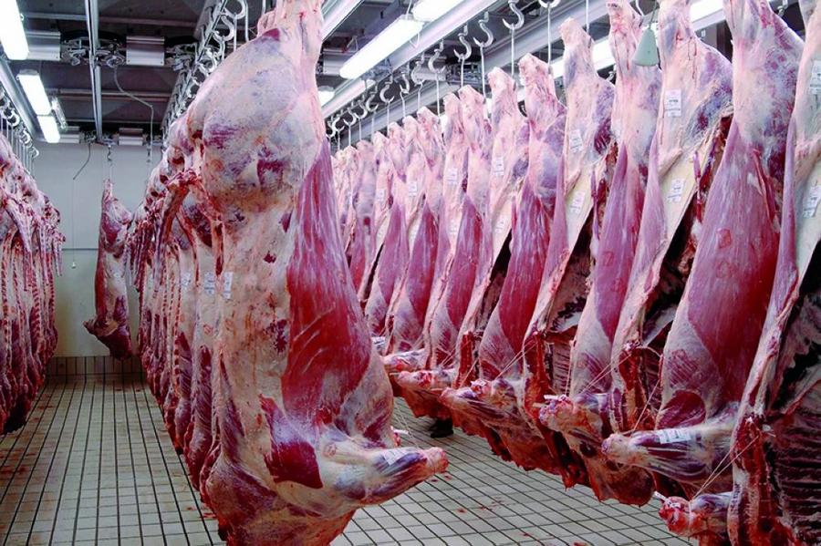 Casablanca : Les prix des viandes rouges s'envolent au marché de gros