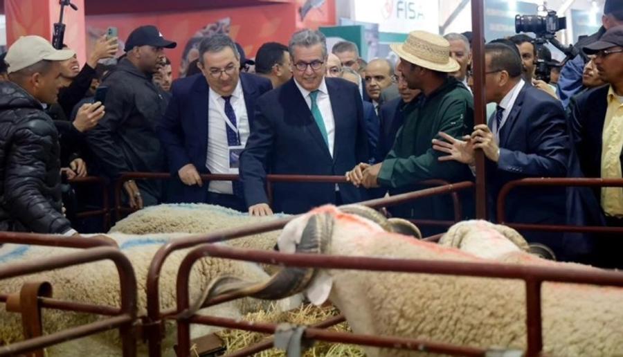 رفاق بنعبد الله يقطرون الشمع على الحكومة بسبب الأضاحي