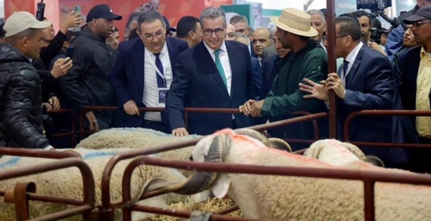 رفاق بنعبد الله يقطرون الشمع على الحكومة بسبب الأضاحي