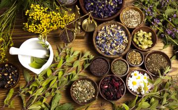 Le Maroc s’impose sur le marché européen des herbes aromatiques