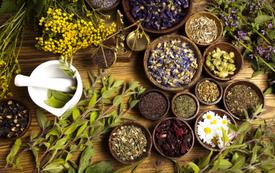 Le Maroc s’impose sur le marché européen des herbes aromatiques