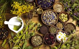 Le Maroc s’impose sur le marché européen des herbes aromatiques