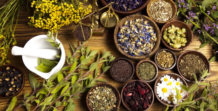 Le Maroc s’impose sur le marché européen des herbes aromatiques