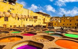Fes to host International conference on social and solidarity economy in November