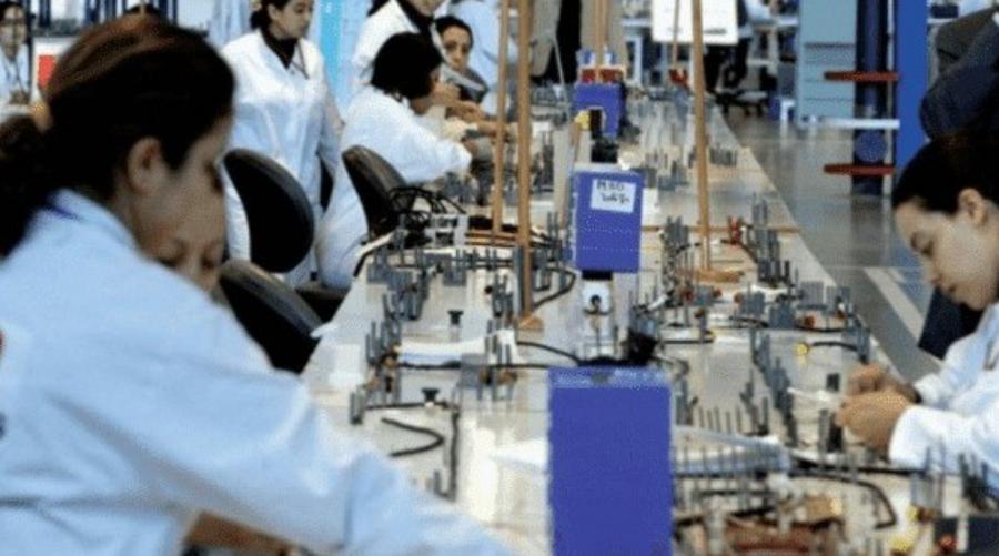 Morocco training system leaves most companies without support