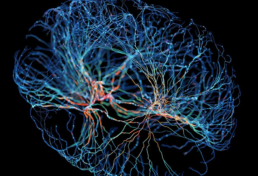 Nyu scientists identify memory switchboard that preserves older memories