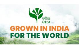 उत्तराखंड की प्रीमियम लीची ने इटली को पहली खेप भेजकर यूरोपीय बाजार में प्रवेश किया।