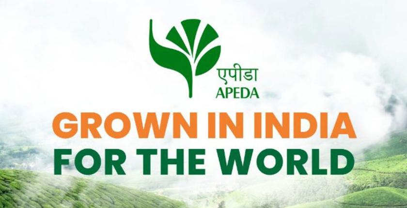 उत्तराखंड की प्रीमियम लीची ने इटली को पहली खेप भेजकर यूरोपीय बाजार में प्रवेश किया।