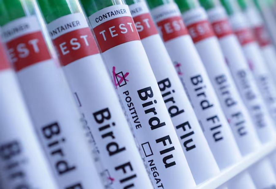 Australia detects first suspected mainland case of H5 bird flu