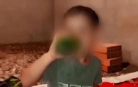 فيديو تحريض طفل على شرب الكحول يصل البرلمان