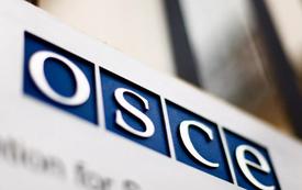 Россия призывает ОБСЕ оценить преступления Киева против русскоязычных детей