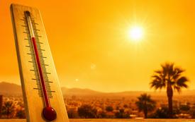 Maroc : fortes chaleurs dans le Sud et vents soutenus attendus ce mardi