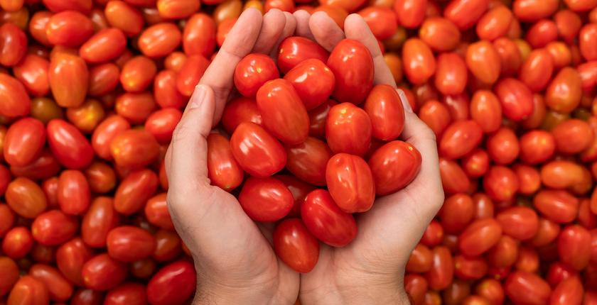 Azura obtient la certification B Corp™ et renforce sa stratégie durable