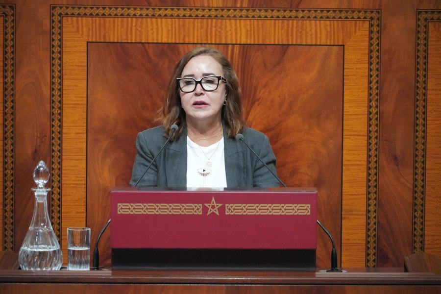 التامني تنتقد حملة انتخابية مبكرة لوزراء الحكومة