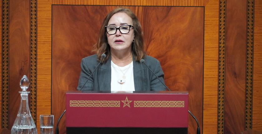 التامني تنتقد حملة انتخابية مبكرة لوزراء الحكومة